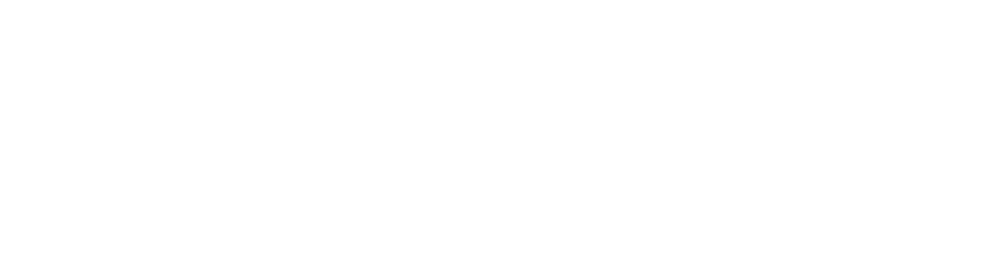 Partners Academy